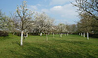 Foto: NABU Naturschutzhof